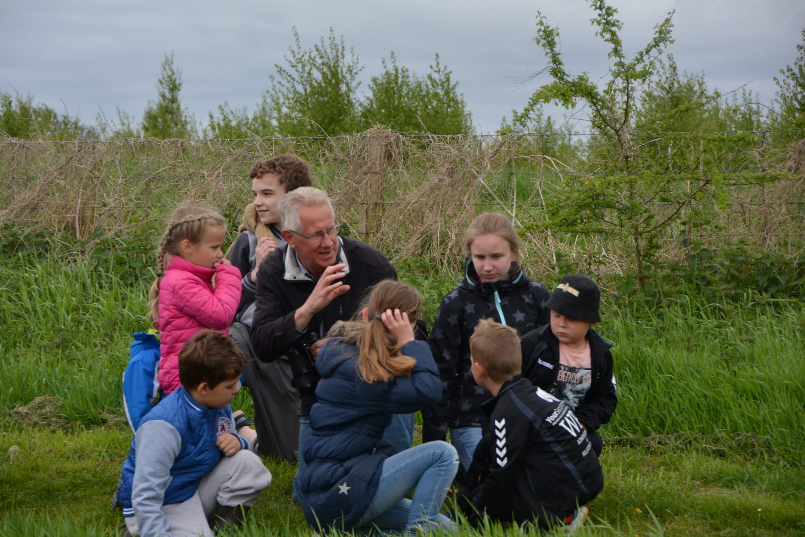 Wetland Walking