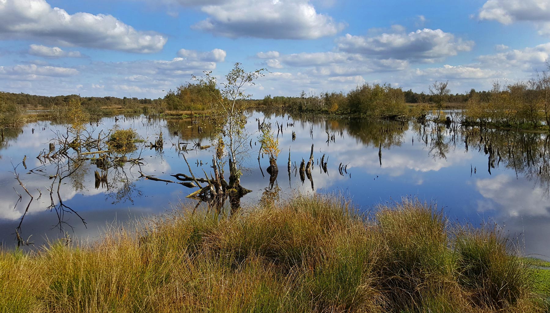 Weiteveen Wetland Walking Centre